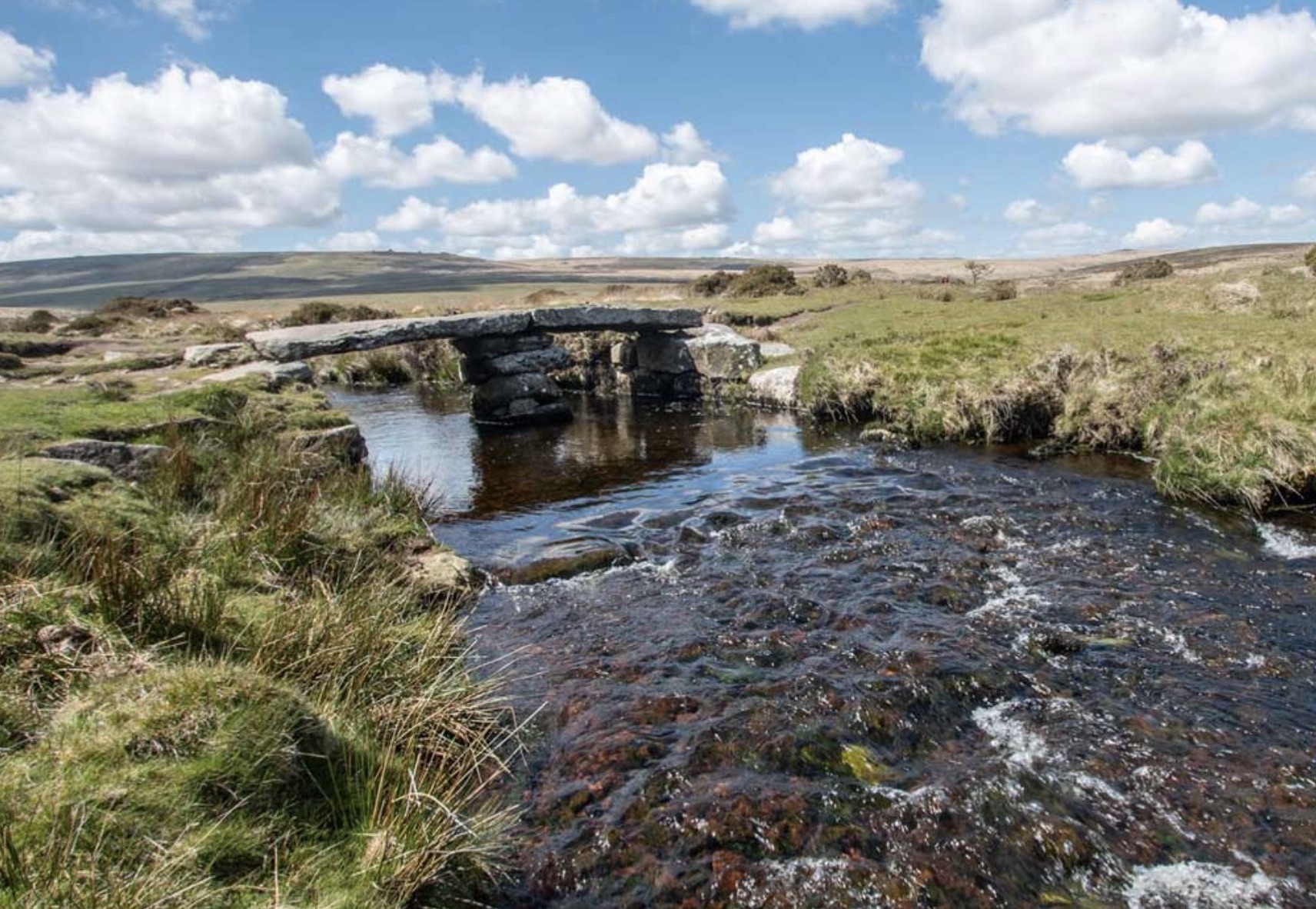 River Swimming at Scorhill