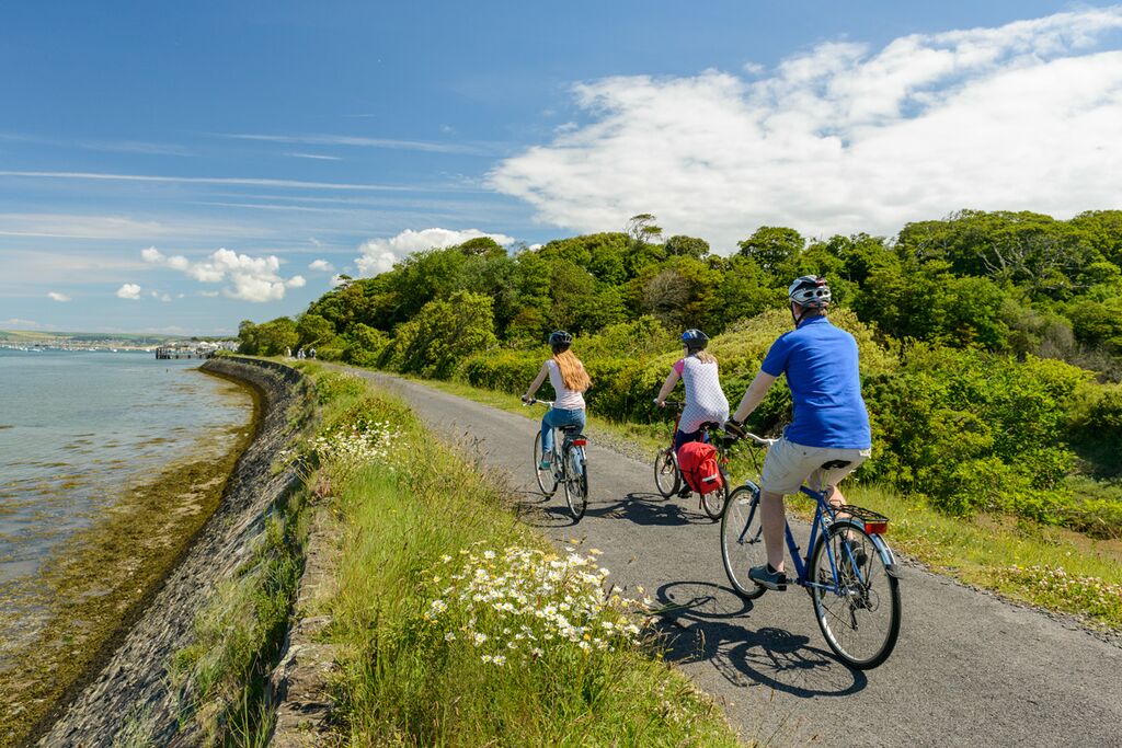 Tarka Trail Cycle Route - Instow North Devon, Photograph by Guy Richardson